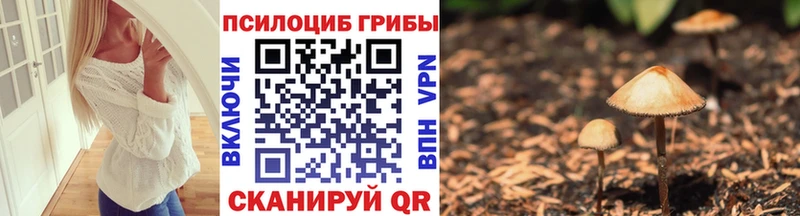 блэк спрут ссылки  Кстово  Галлюциногенные грибы мухоморы  купить  сайты 