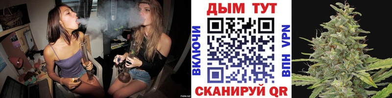 Бошки Шишки гибрид Кстово
